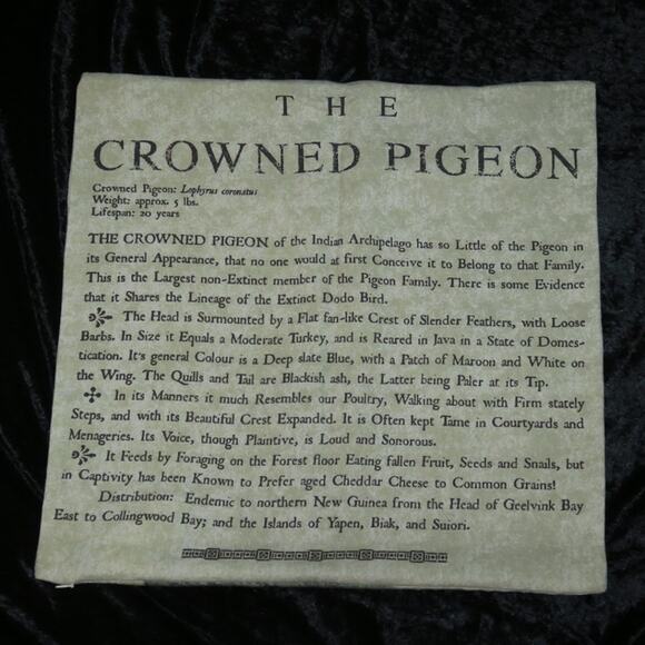 The Crowned Pigeon Pottery Barn Decorative 2012 20x20 RARE Sham Bird Text GUC - Picture 7 of 12